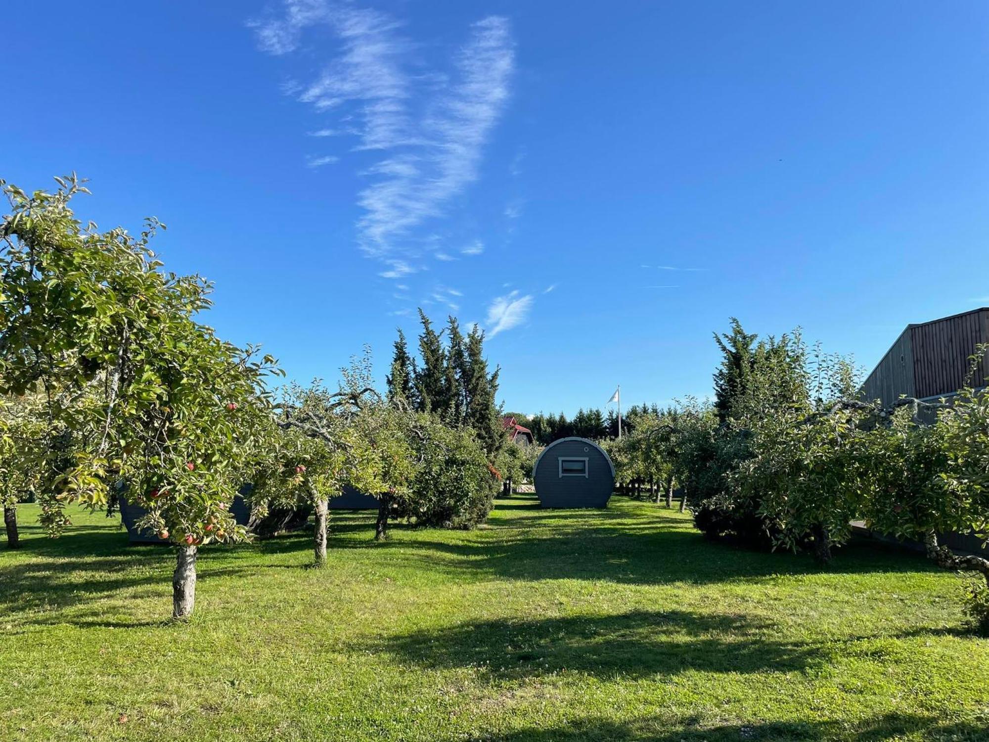 Vetsi Talli Holiday Village Kassari Exteriér fotografie